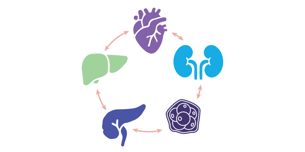CRM and Obesity/MASLD Education with CRM Certification