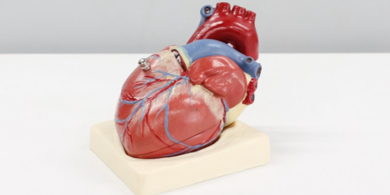 Acute decompansated heart failure